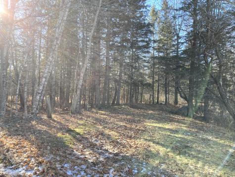 3 Rogers Point Steuben ME 04680