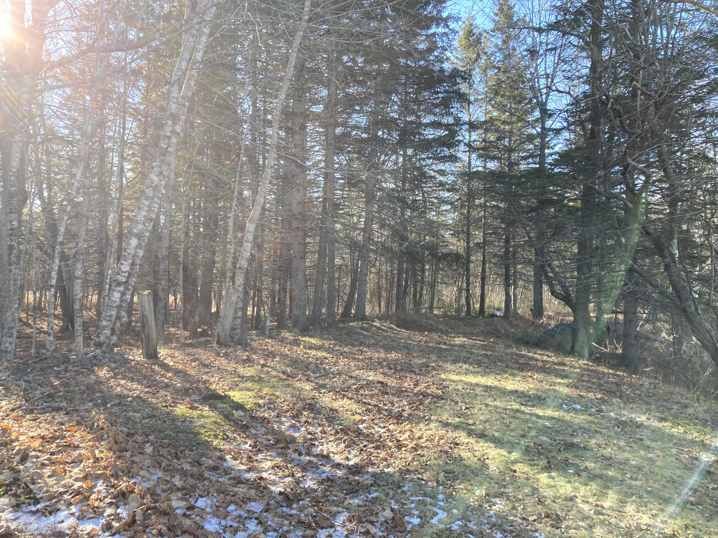 3 Rogers Point Steuben ME 04680