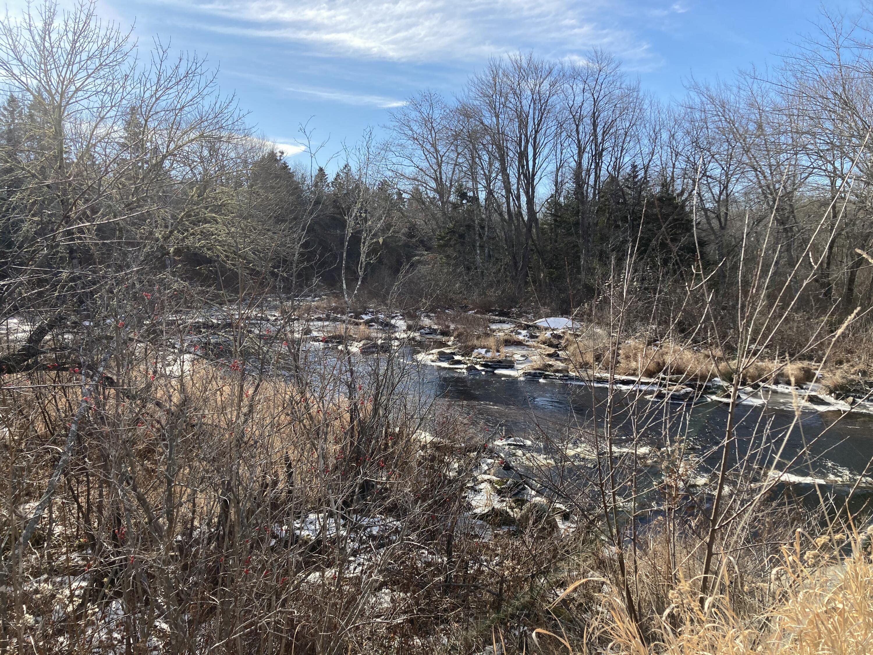 3 Rogers Point Steuben ME 04680
