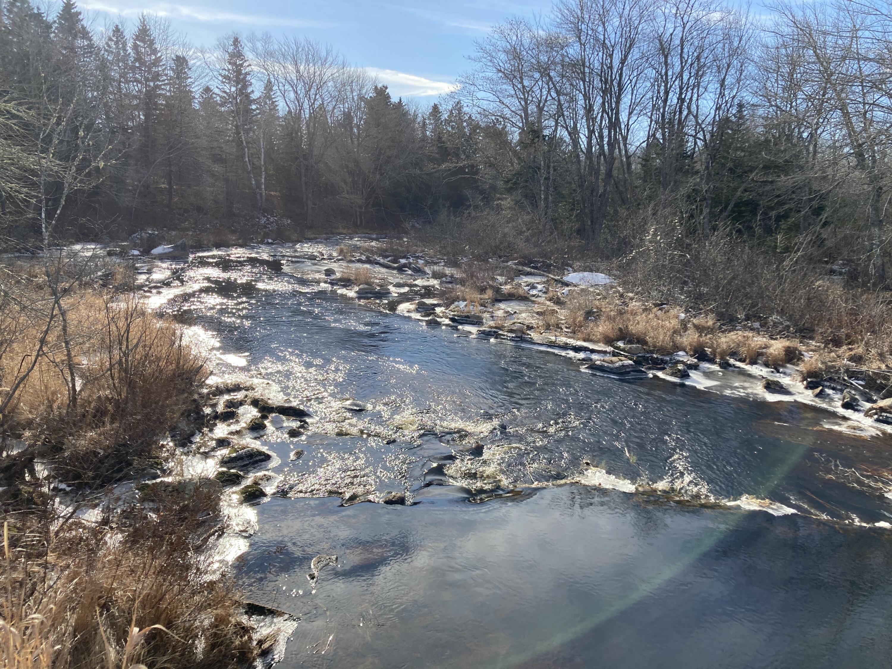 3 Rogers Point Steuben ME 04680