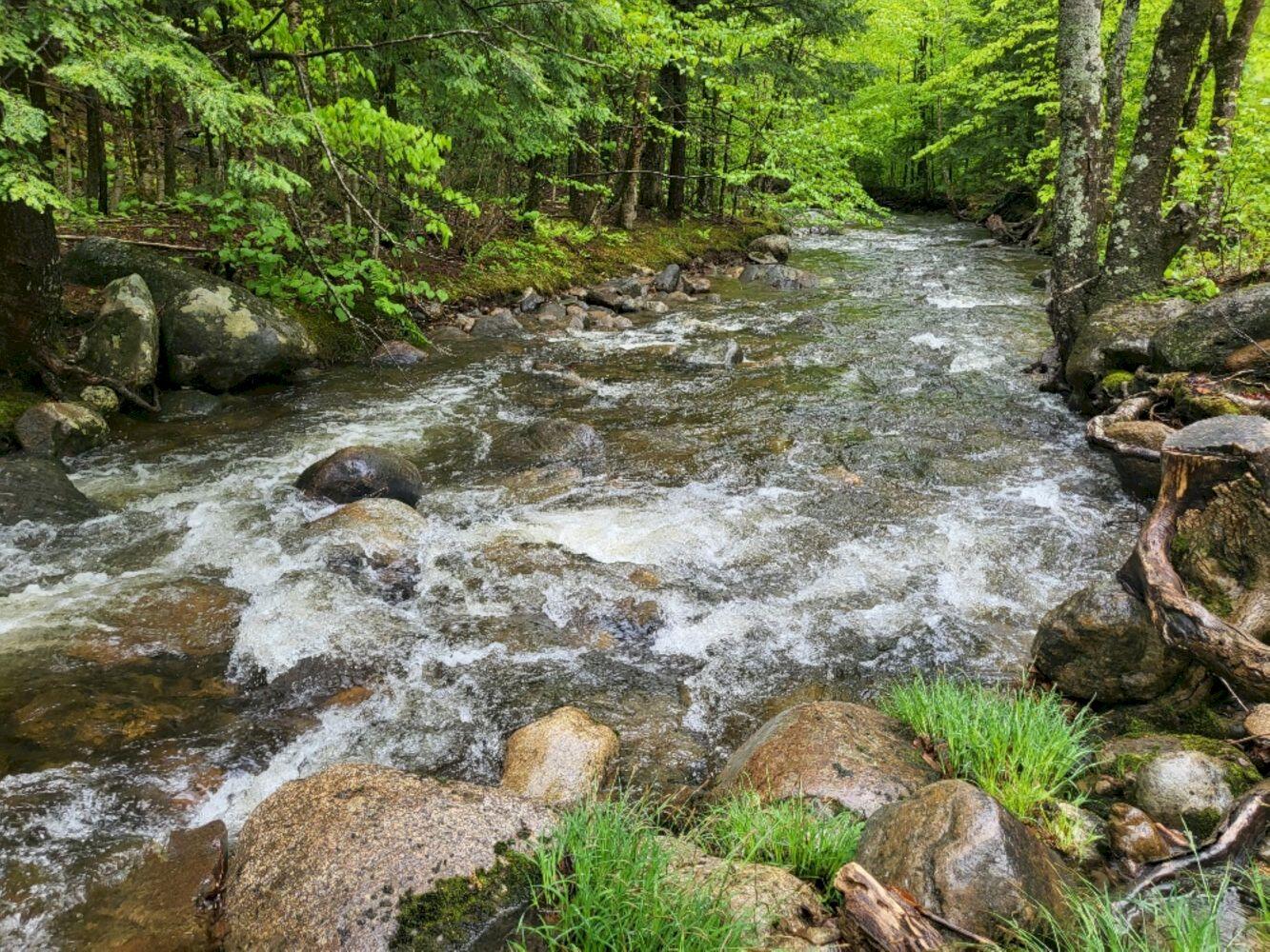 191 Basin Road Carthage ME 04224