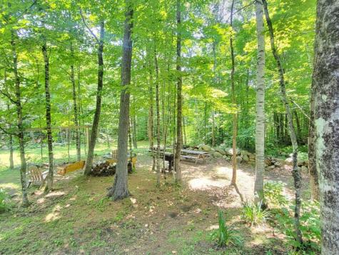 191 Basin Road Carthage ME 04224