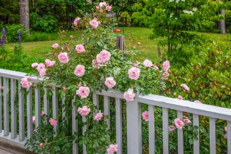 109 Mistic Avenue Rockport ME 04856