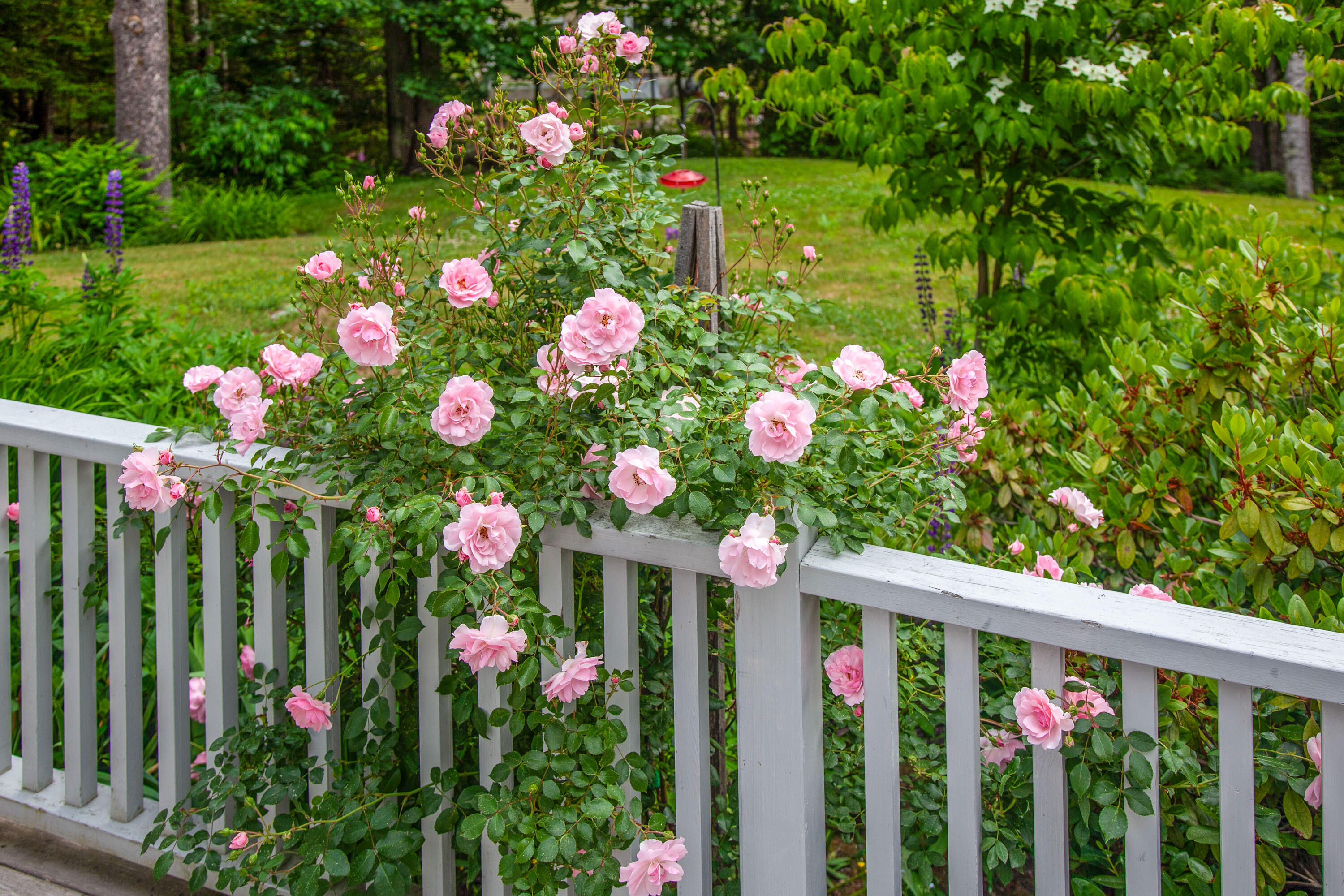 109 Mistic Avenue Rockport ME 04856