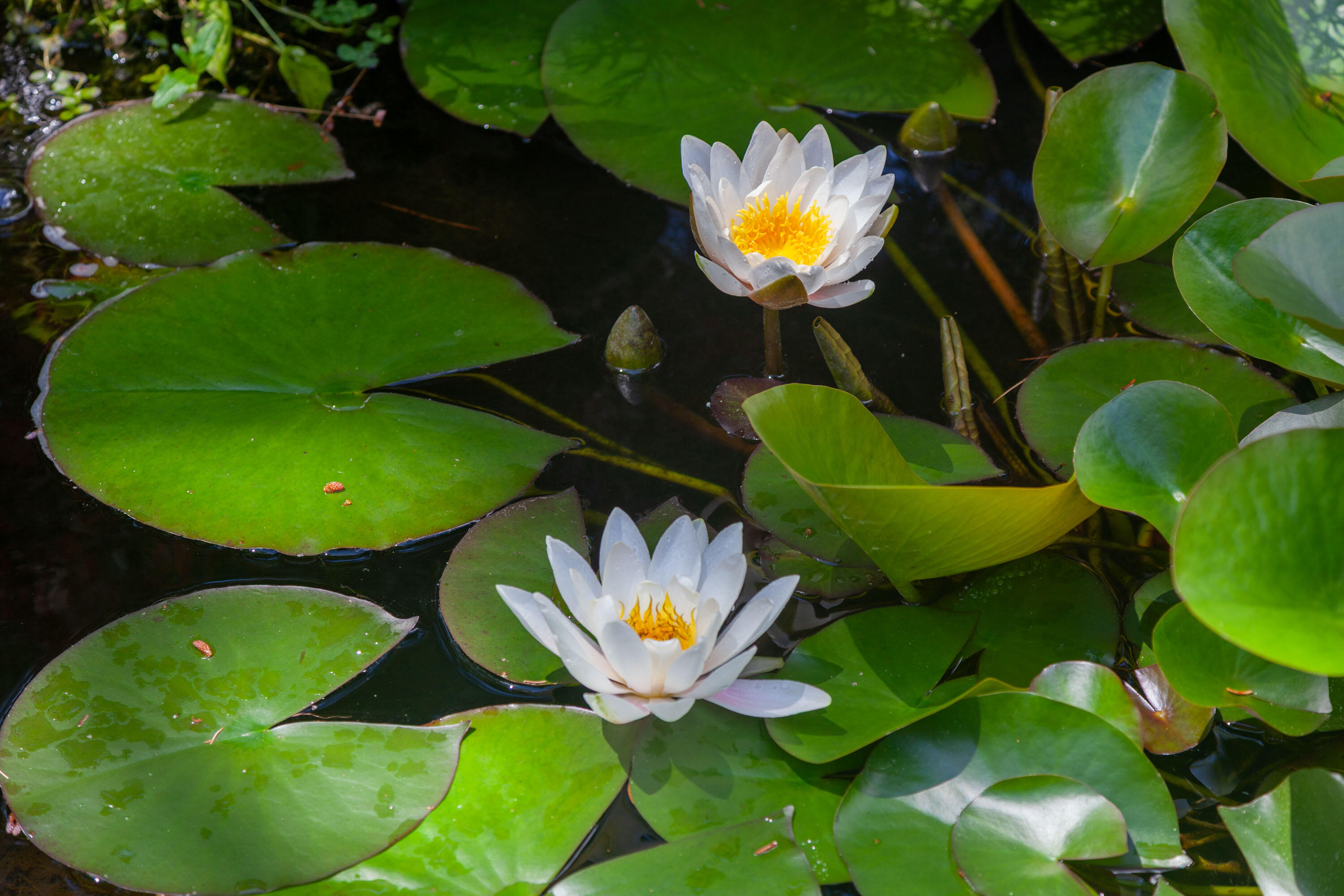 109 Mistic Avenue Rockport ME 04856