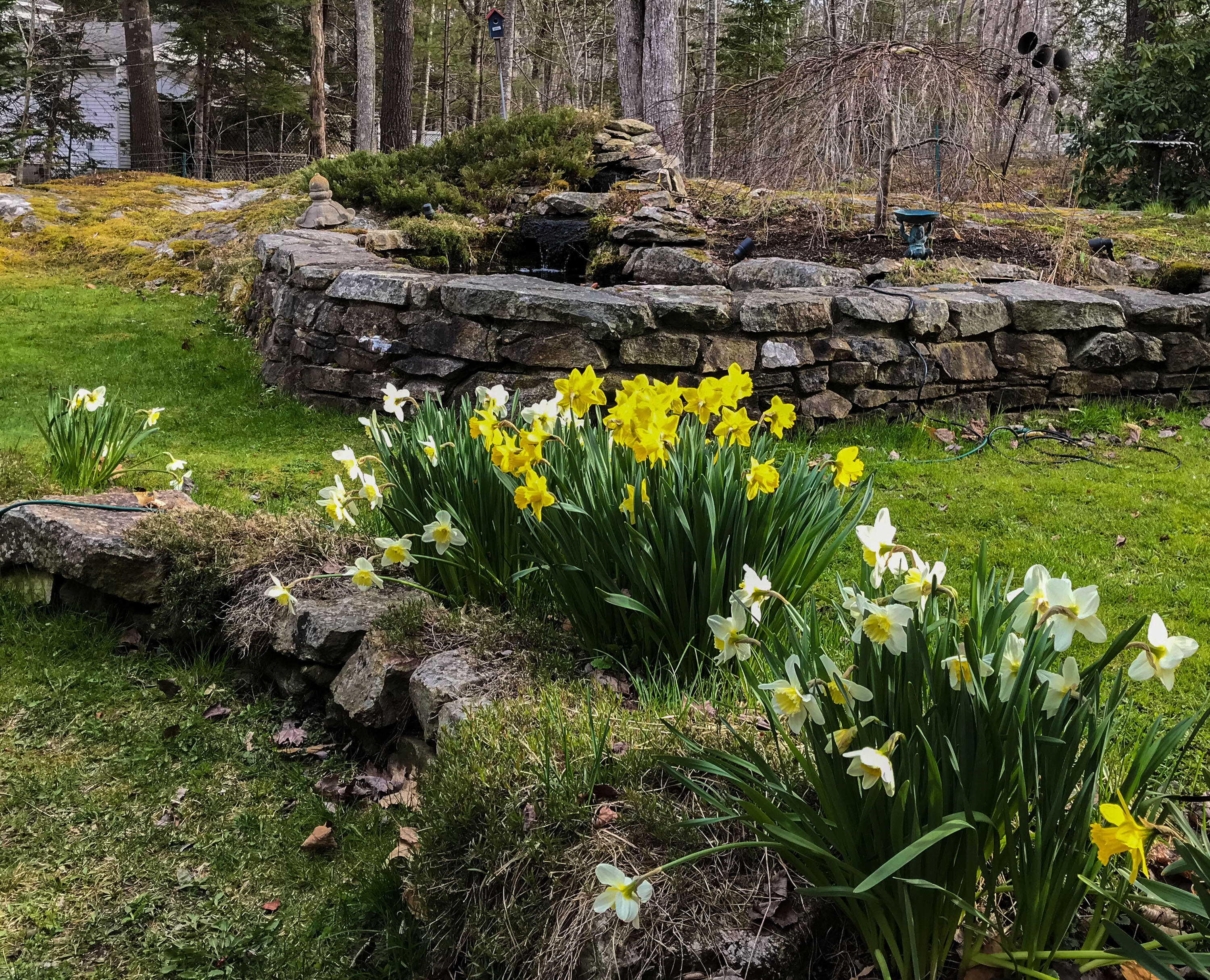 109 Mistic Avenue Rockport ME 04856