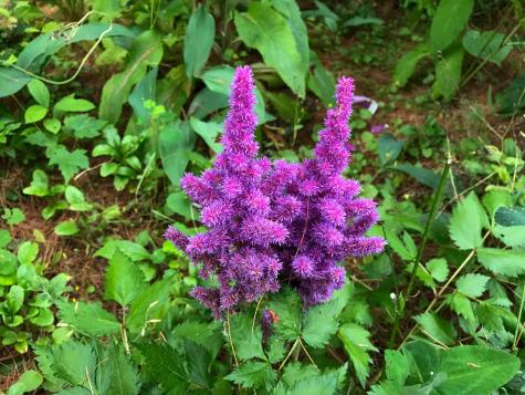 109 Mistic Avenue Rockport ME 04856