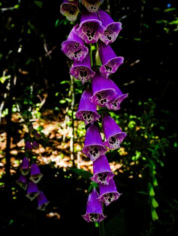 109 Mistic Avenue Rockport ME 04856