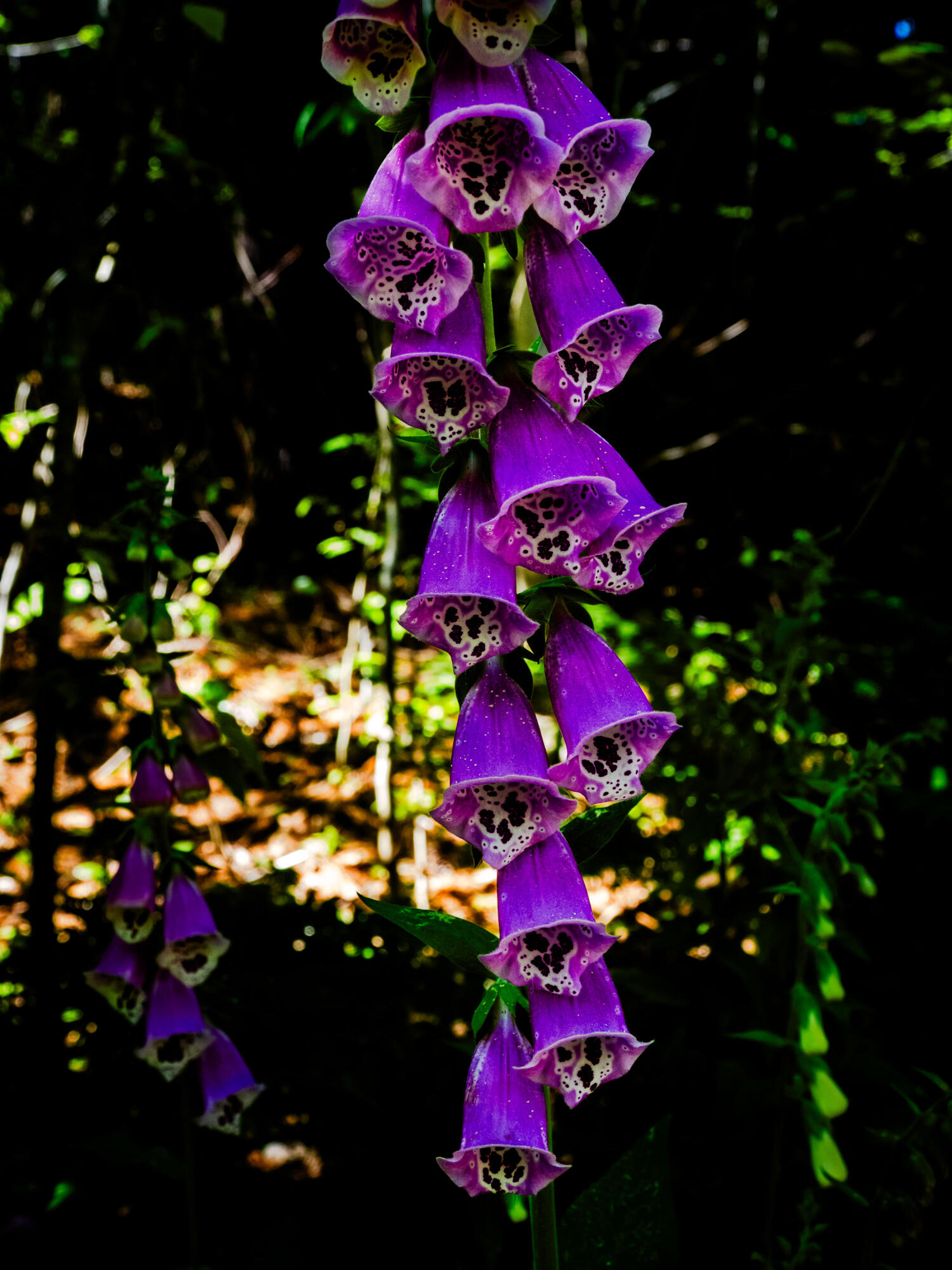 109 Mistic Avenue Rockport ME 04856