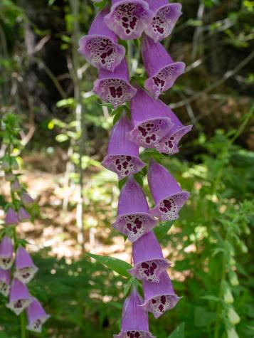 109 Mistic Avenue Rockport ME 04856