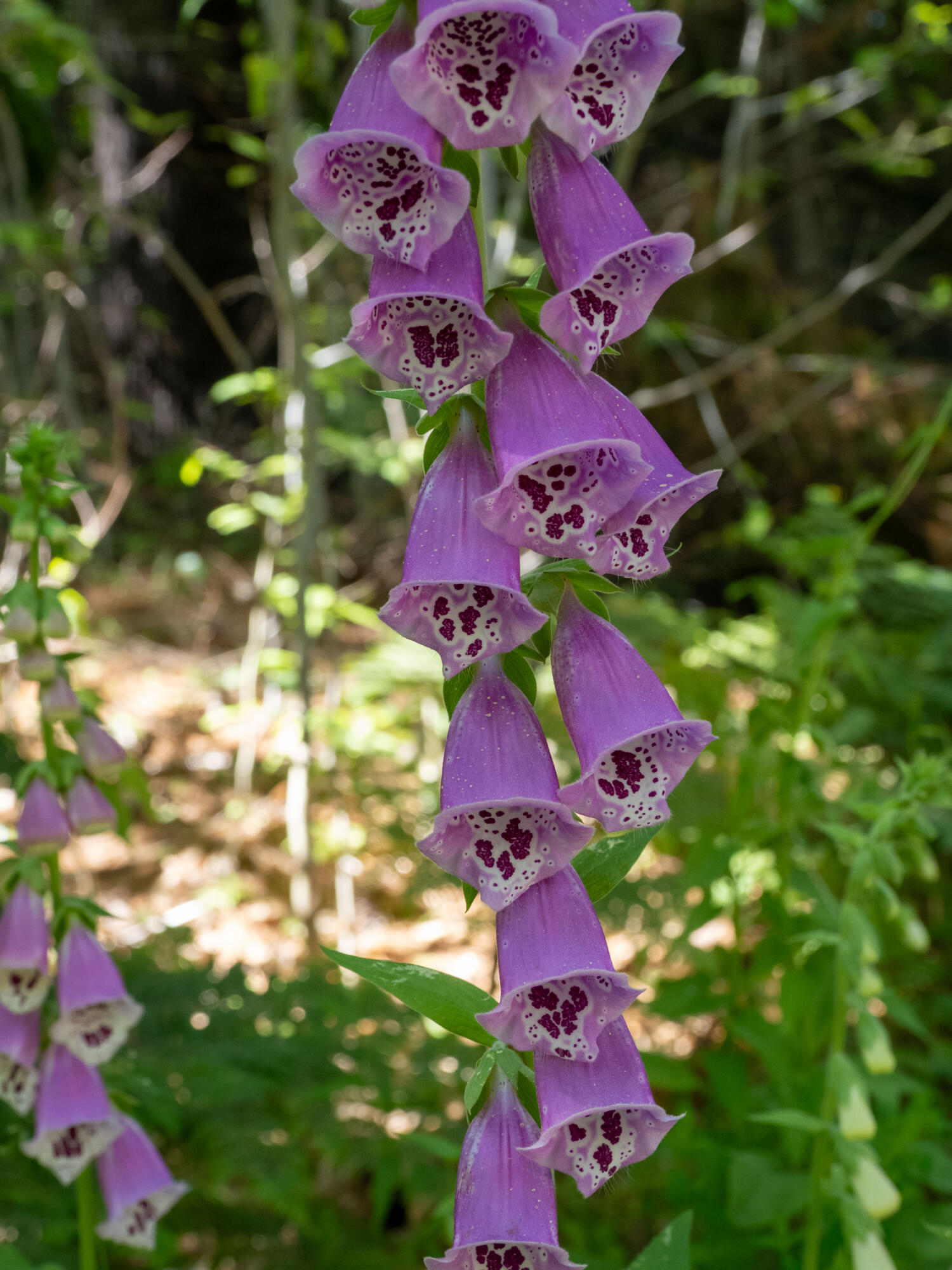 109 Mistic Avenue Rockport ME 04856