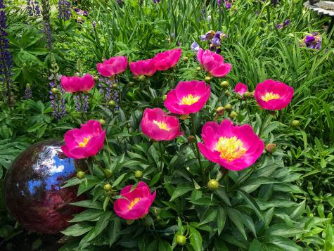 109 Mistic Avenue Rockport ME 04856