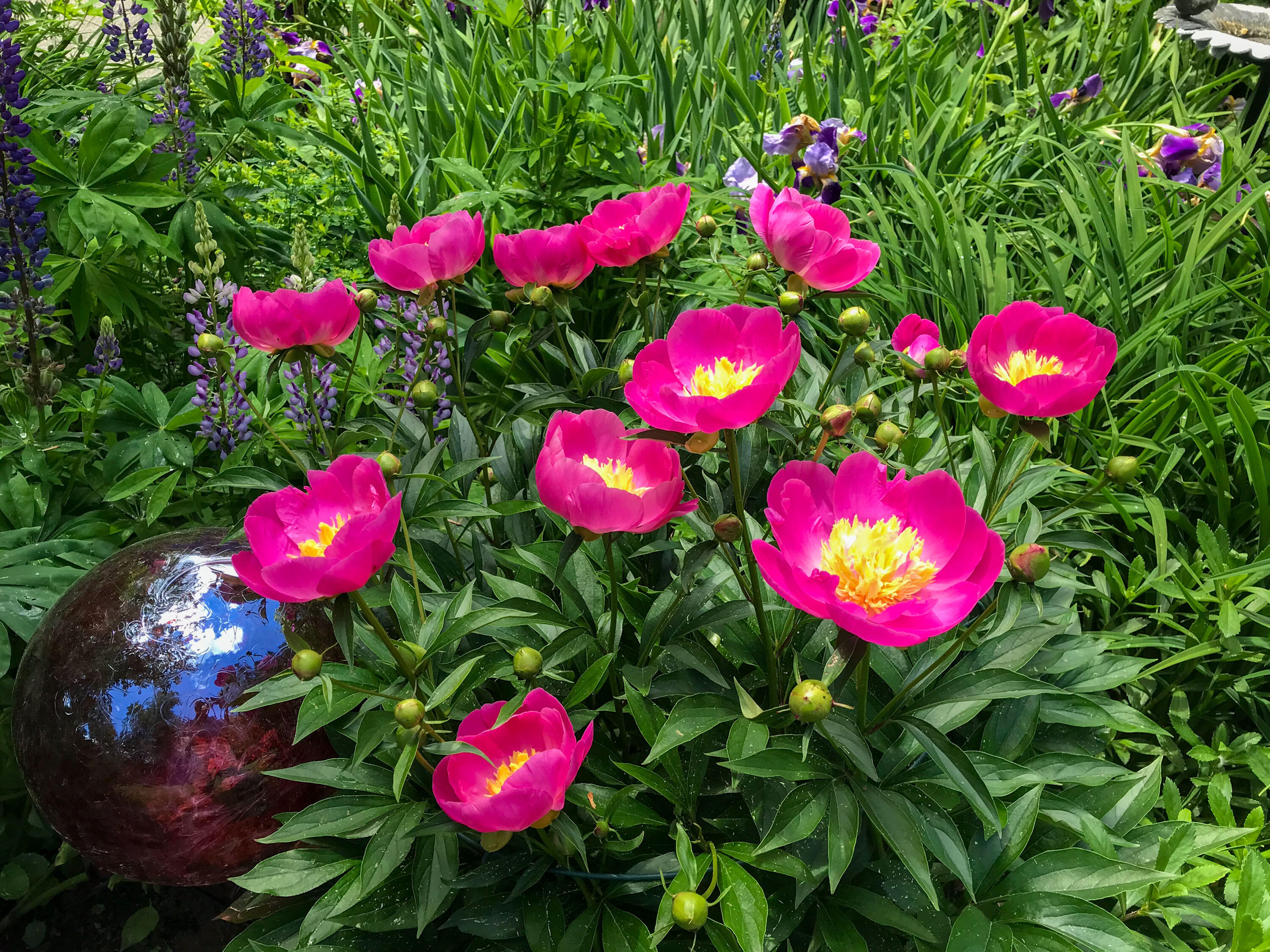 109 Mistic Avenue Rockport ME 04856