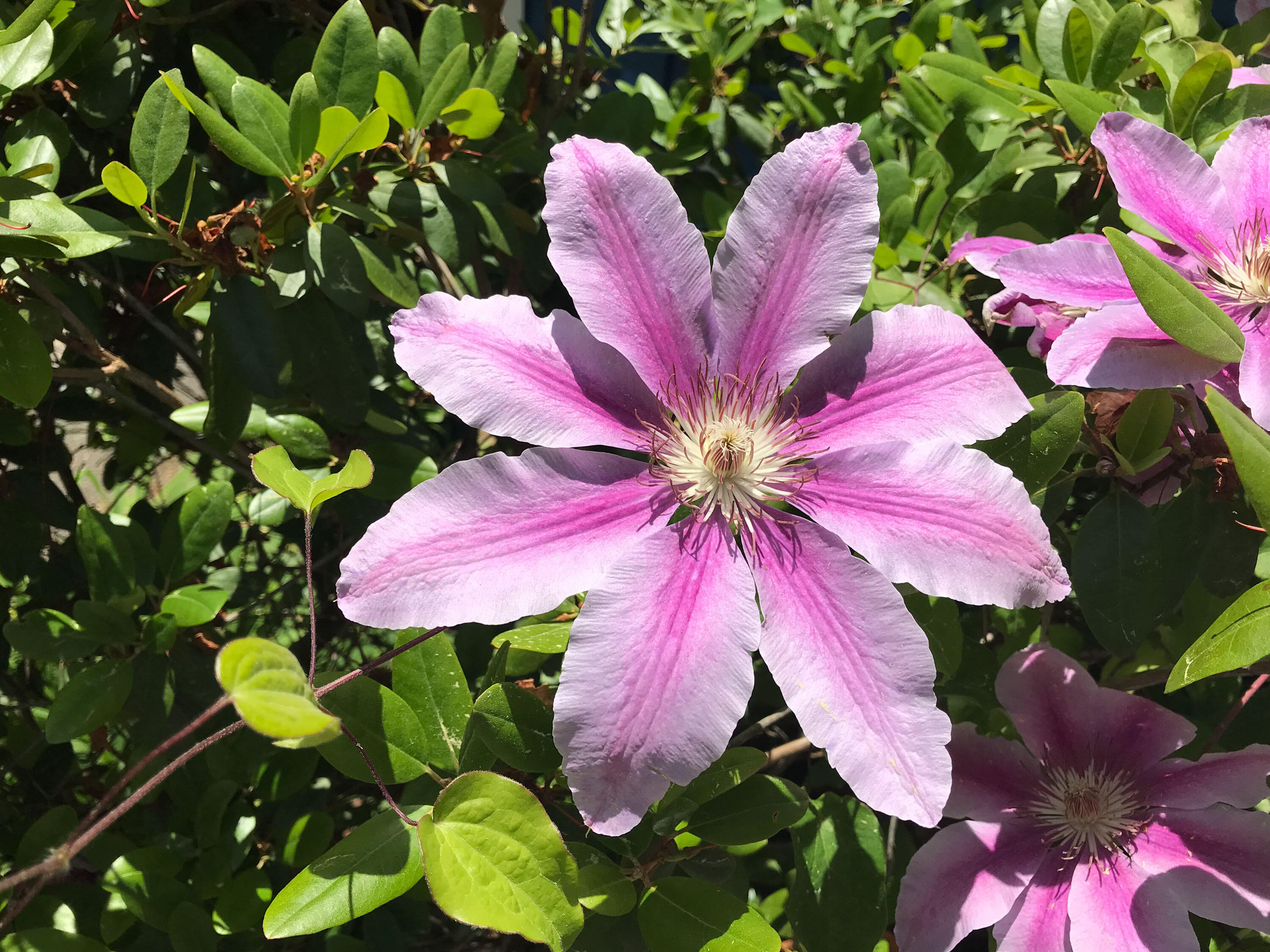 109 Mistic Avenue Rockport ME 04856