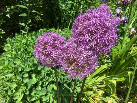 109 Mistic Avenue Rockport ME 04856