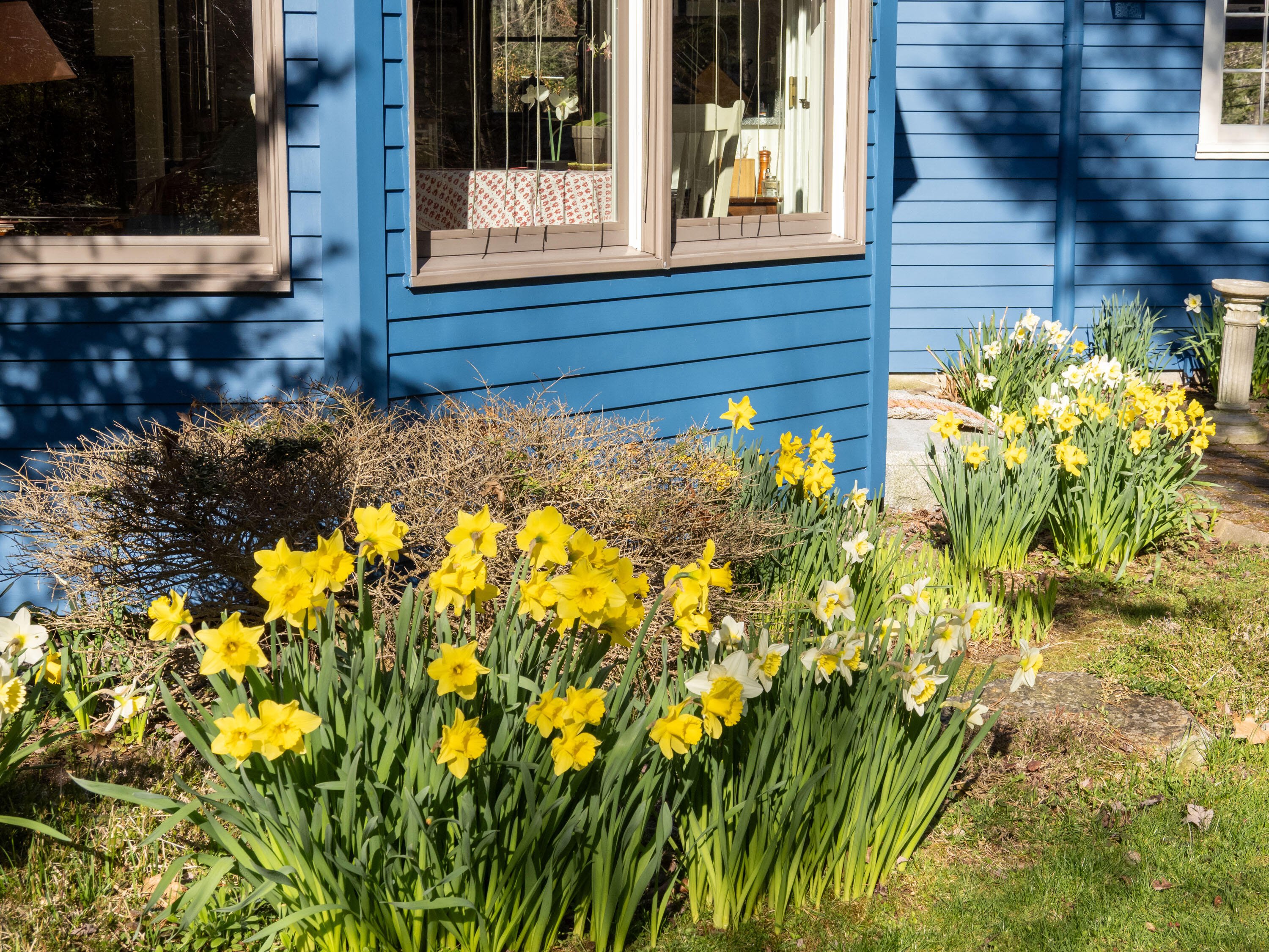 109 Mistic Avenue Rockport ME 04856