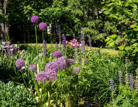 109 Mistic Avenue Rockport ME 04856