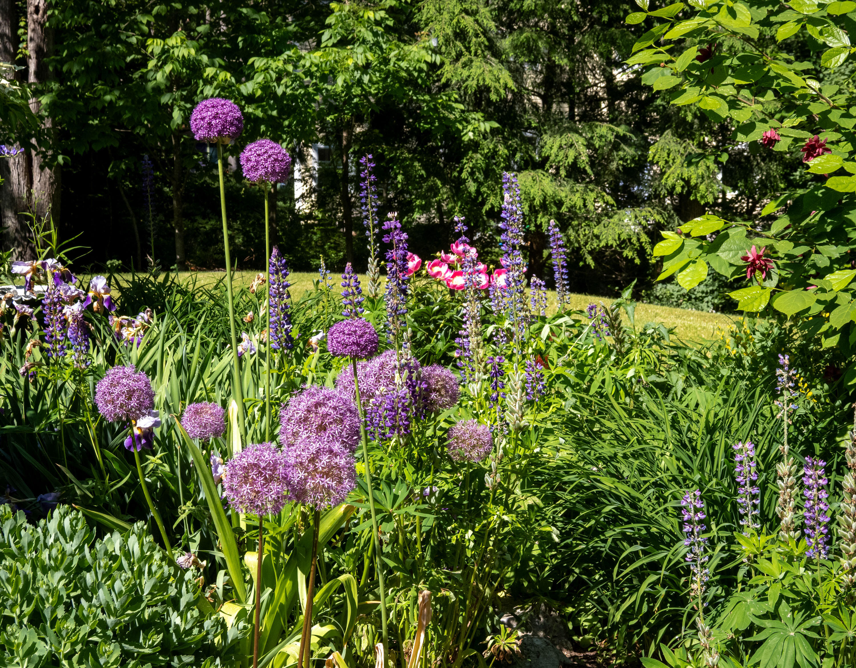 109 Mistic Avenue Rockport ME 04856