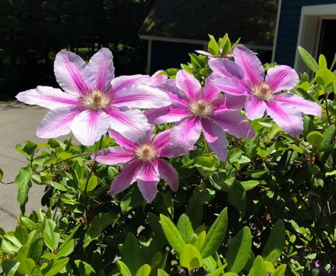 109 Mistic Avenue Rockport ME 04856