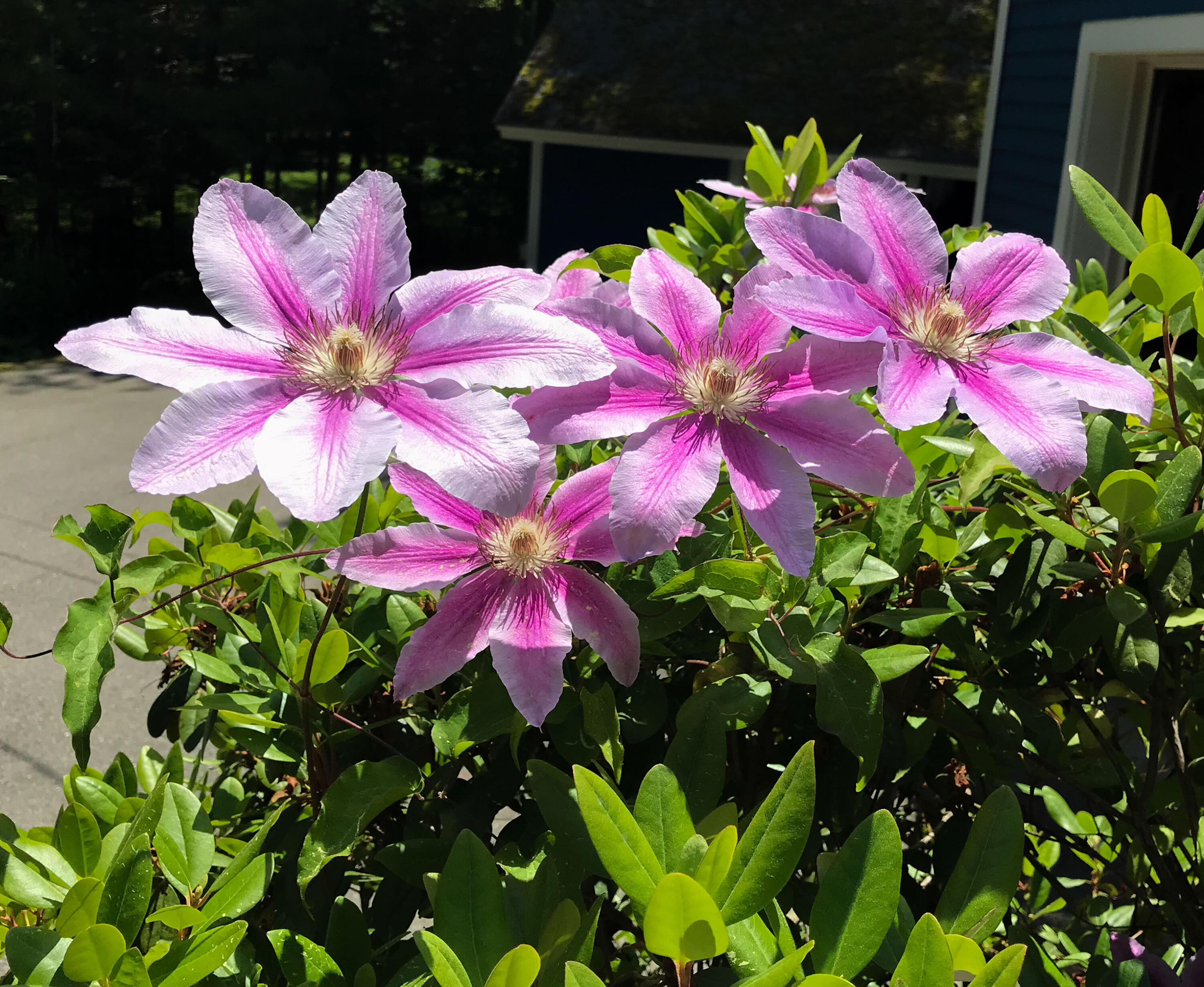 109 Mistic Avenue Rockport ME 04856