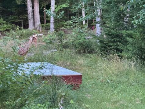 72 Needles Eye Road Lamoine ME 04605