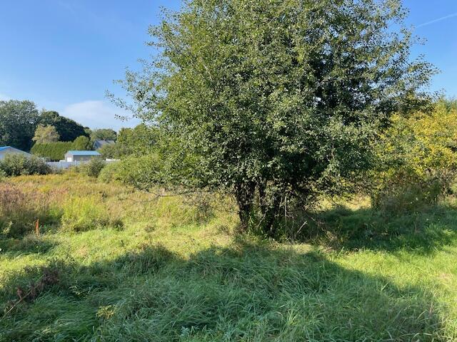 97 Downes Street Calais ME 04619