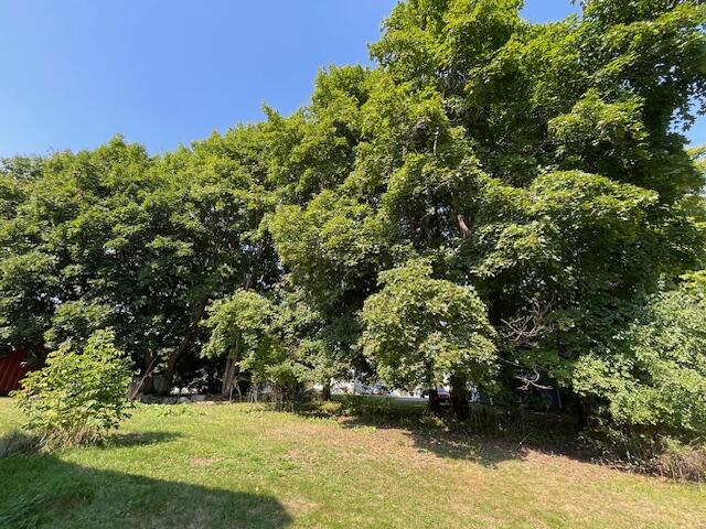 97 Downes Street Calais ME 04619