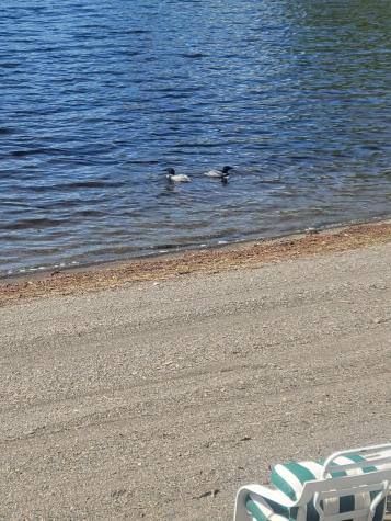 13 South Brook Lane Eagle Lake ME 04739