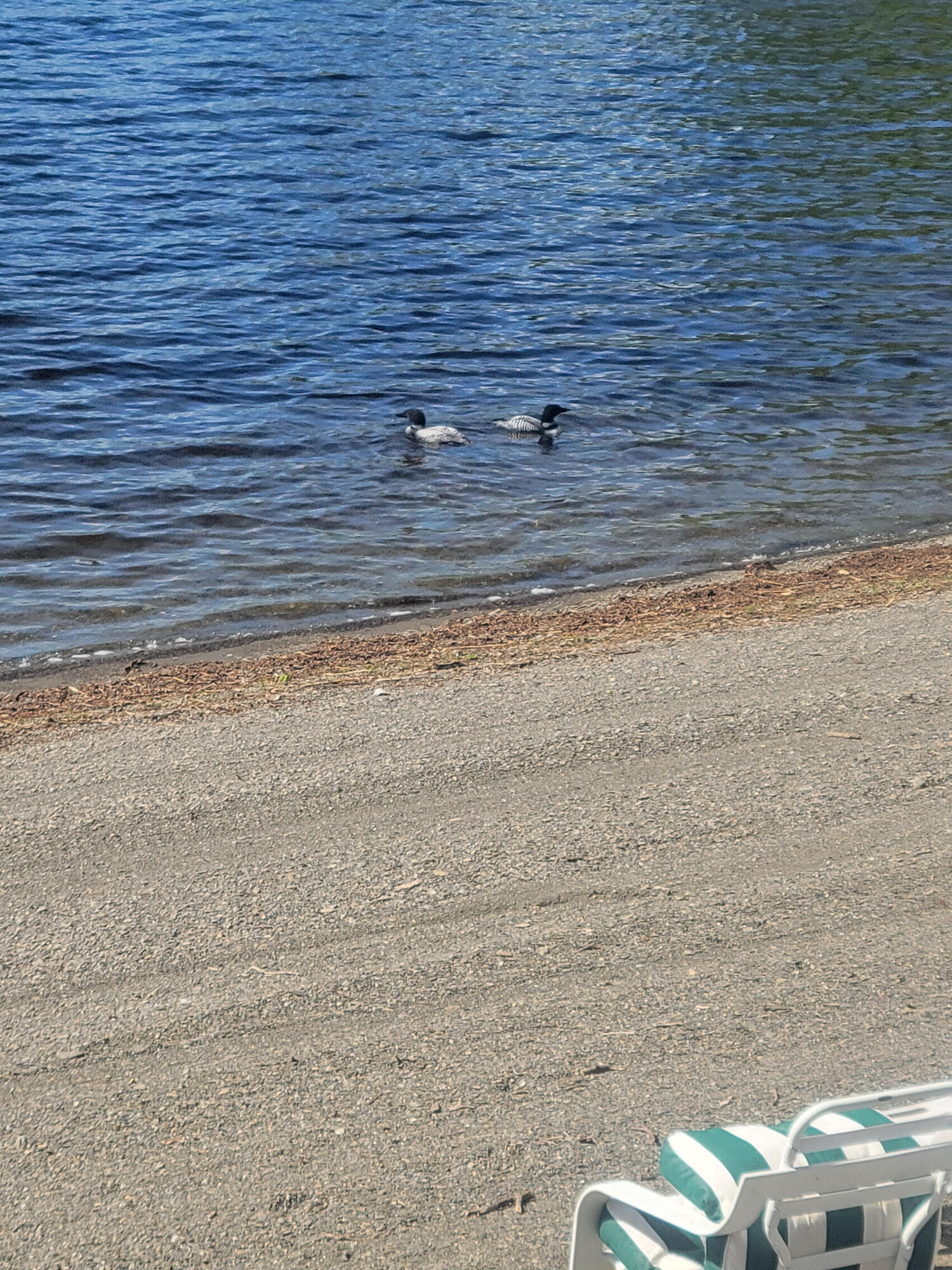 13 South Brook Lane Eagle Lake ME 04739