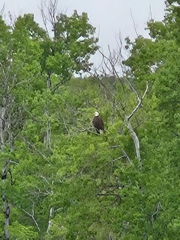 13 South Brook Lane Eagle Lake ME 04739