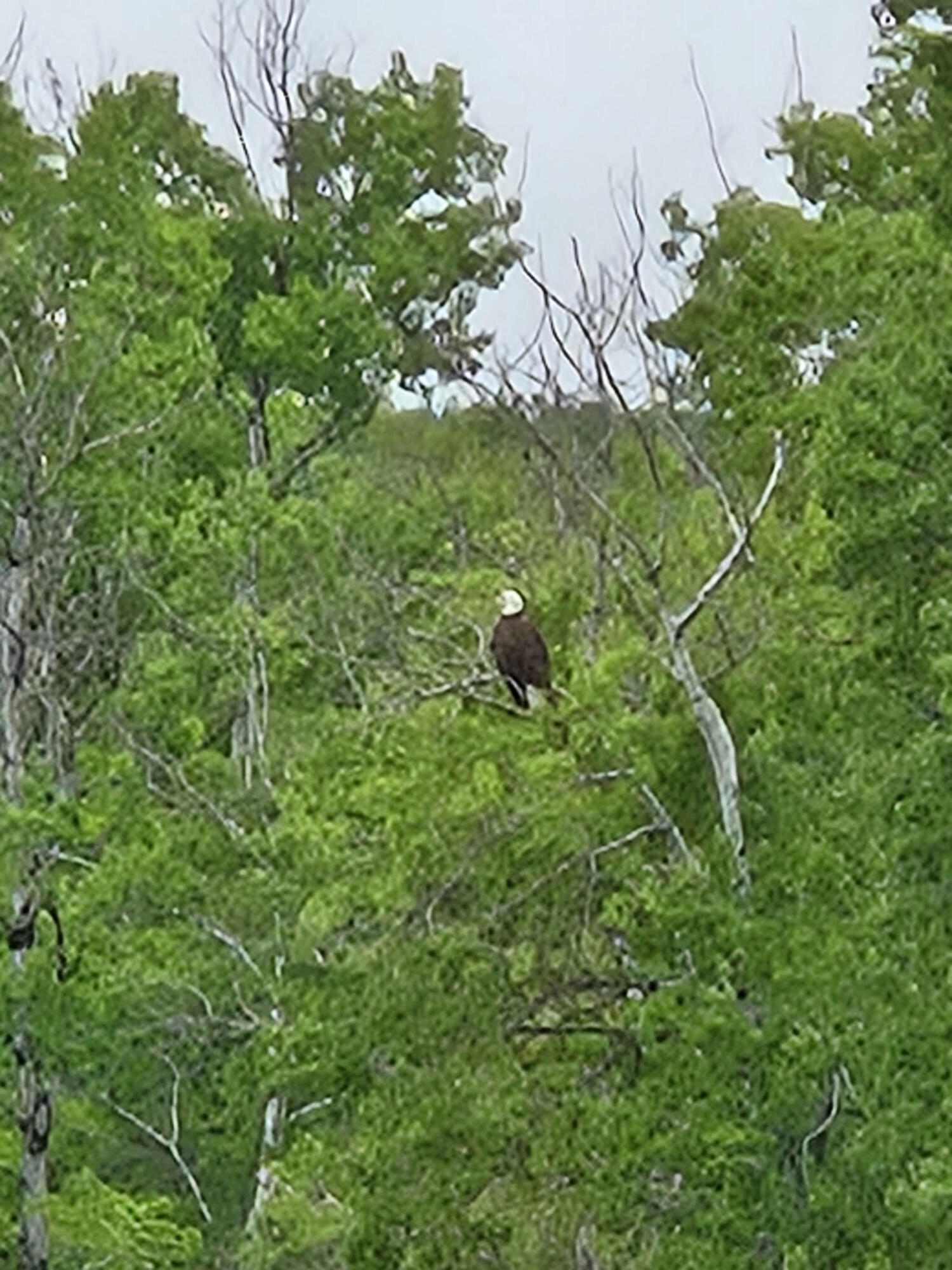 13 South Brook Lane Eagle Lake ME 04739