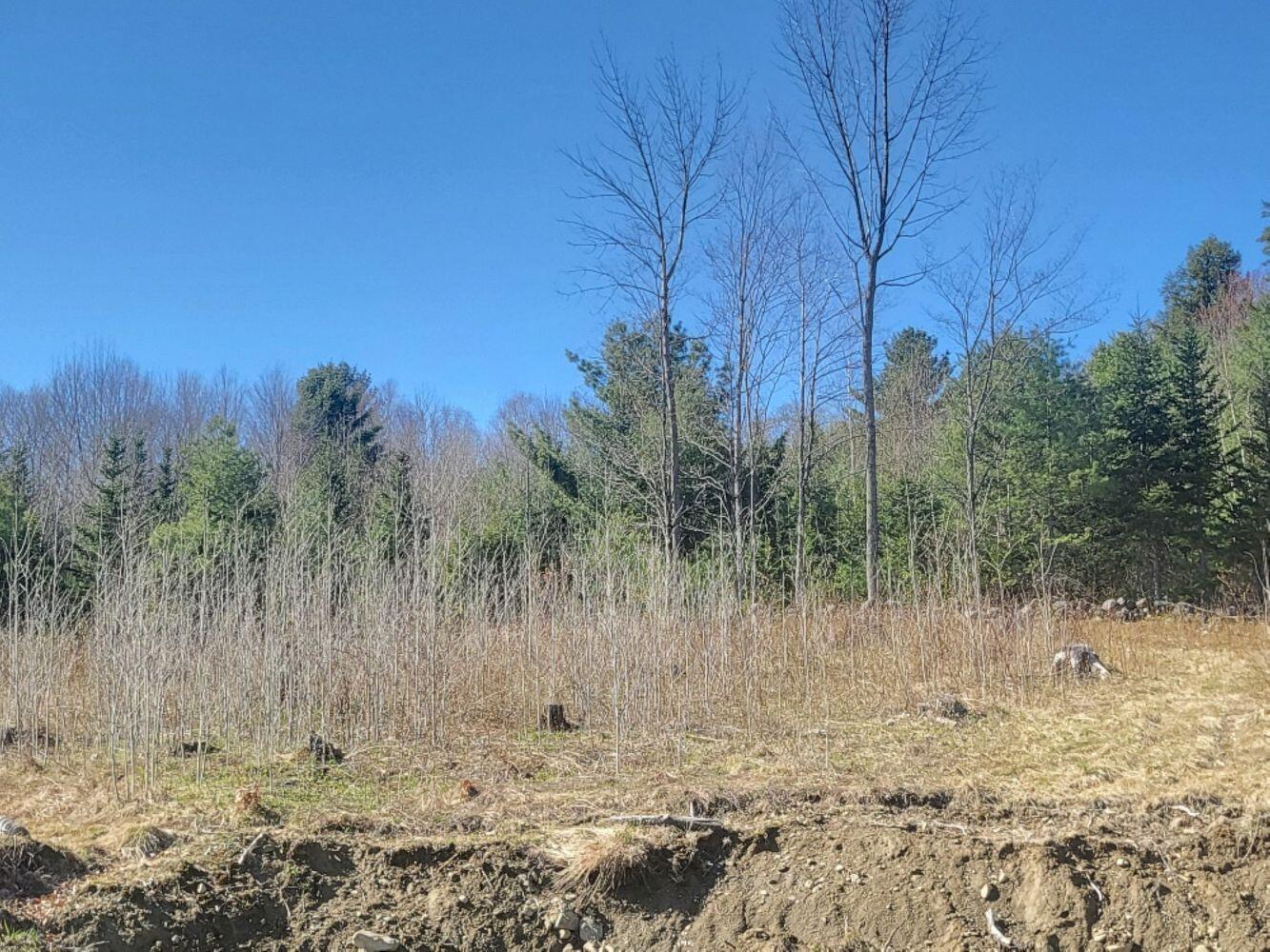 916 Orchard Drive Wilton ME 04294