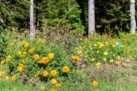 16 Leeside Road Harpswell ME 04079