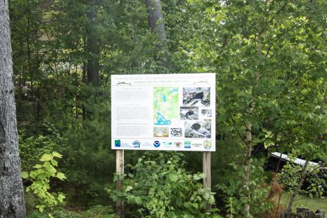 284 Flanders Pond Road Sullivan ME 04664