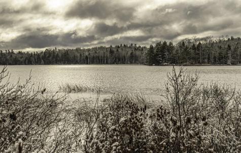 48 Douglass Loop Blue Hill ME 04614