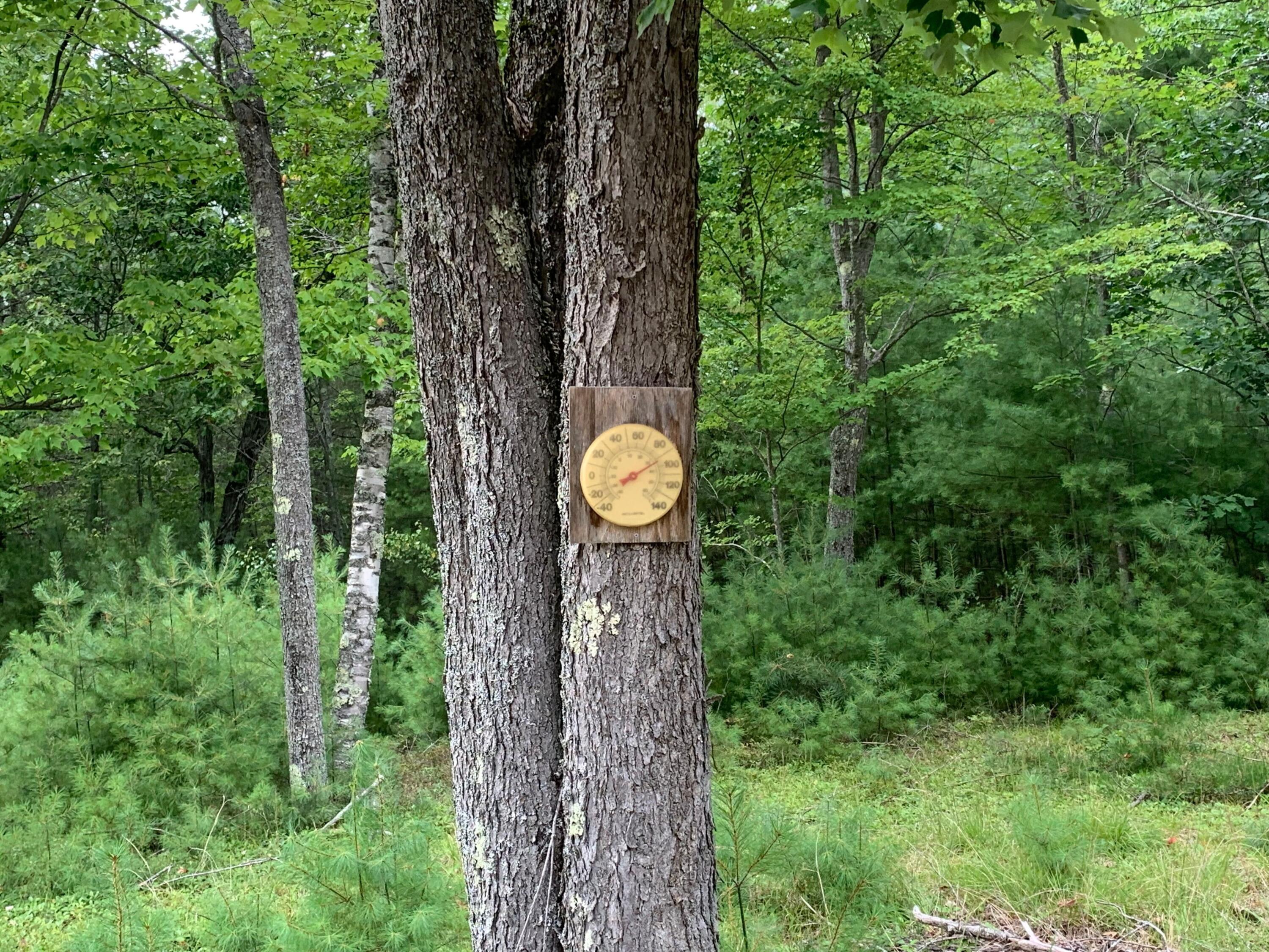 30 Mountain View Avenue Brownfield ME 04010