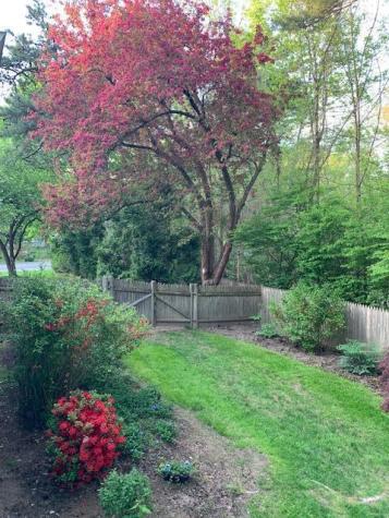 81 Mckeen Street Brunswick ME 04011