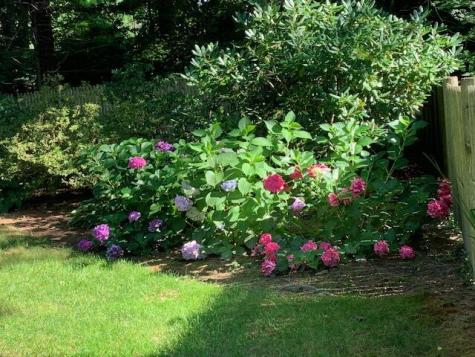 81 Mckeen Street Brunswick ME 04011