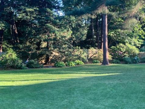 81 Mckeen Street Brunswick ME 04011