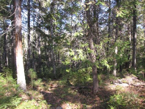 1022 Dale Street Wesley ME 04686