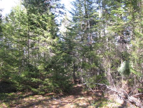 1022 Dale Street Wesley ME 04686