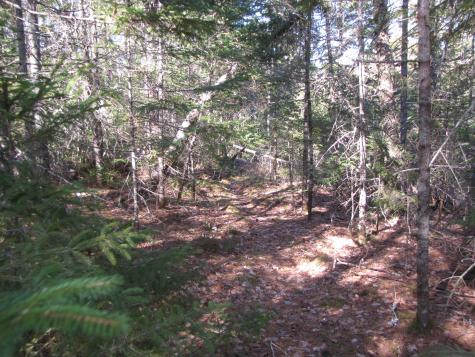 1022 Dale Street Wesley ME 04686