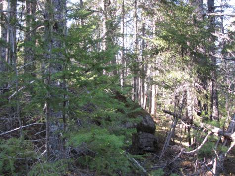 1022 Dale Street Wesley ME 04686