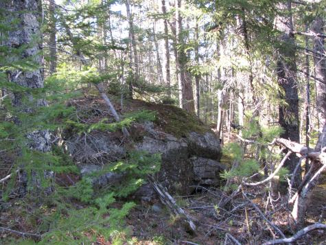 1022 Dale Street Wesley ME 04686