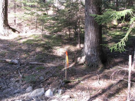 1022 Dale Street Wesley ME 04686