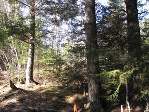 1022 Dale Street Wesley ME 04686