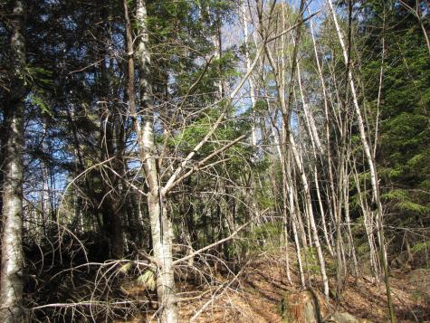 1022 Dale Street Wesley ME 04686