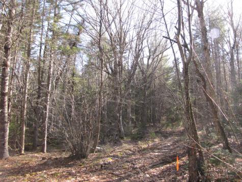 1022 Dale Street Wesley ME 04686