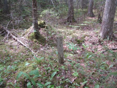 1022 Dale Street Wesley ME 04686