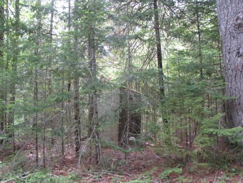 1022 Dale Street Wesley ME 04686